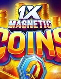 Slot 1xMagnetic coins